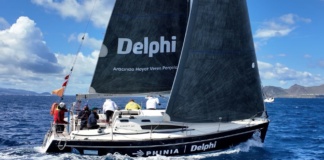 Delphi Türkiye Yenifoça Yacht Sailing Club Sponsor