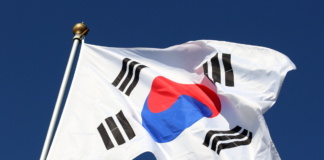 F1 fever: South Korea wants to host a GP again in 2028
