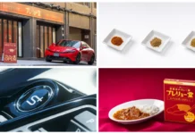 Honda Prelude Spice Pork Curry: Limited-edition automotive-inspired dish