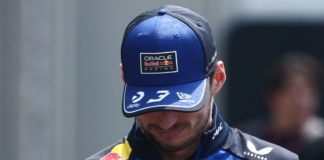 Max Verstappen (Red Bull)