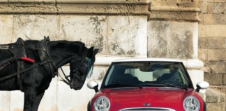 La Mini moderna compie 25 anni