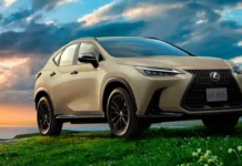 Lexus NX update: spy photos reveal exterior changes for 2024 refresh