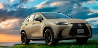 Lexus NX update: spy photos reveal exterior changes for 2024 refresh