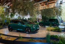 Renault Twingo natura