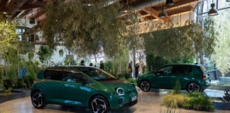 Renault Twingo natura