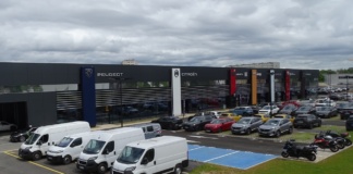 Stellantis distribution