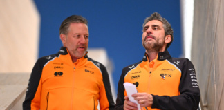 Stella e Brown (McLaren)