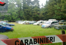 Controlli ambientali, carabinieri sequestrano deposito di veicoli fuori uso Controlli ambientali, carabinieri sequestrano deposito di veicoli fuori uso