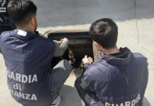 Gdf sequestra nel Milanese 20mila litri di gasolio alterato