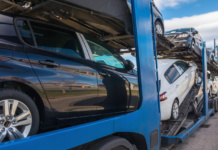 bilan 2025 carvertical