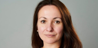 Transport & Environment julia poliscanova