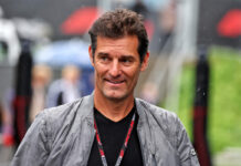 The world follows Verstappen. Webber: “People tune in because of him”
