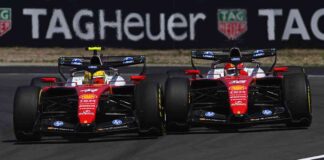 I renew Leclerc, Alesi: "With Hamilton the pair can work, but clarity is needed in the roles, one guide does not prevail over the other"
