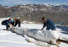Mini sperimenta geotessili biodegradabili per conservare la neve sulle Alpi Mini sperimenta geotessili biodegradabili per conservare la neve sulle Alpi